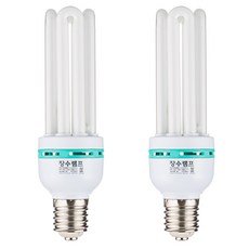 WOOREE 白熾燈泡 EL55W E39BASE 2p, 晝光色