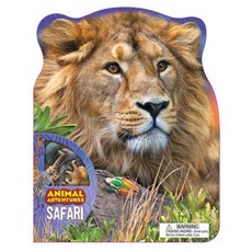 Animal Adventures : Safari, Silver Dolphin Books