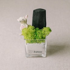 아스파시아 디니위드 비치 스칸디아모스 숯 화분 스프링그린, 1개