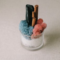 아스파시아 숲속 파티 스칸디아모스 숯 화분 라벤더블루핑크, 1개
