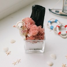 아스파시아 디니위드 비치 스칸디아모스 숯 화분 핑크, 1개