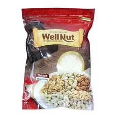 웰넛 자연두레 코코넛 슬라이스, 500g, 1개
