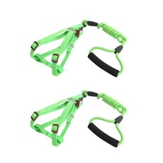 ANTS 寵物胸背帶+握柄牽繩組 XS號, 綠色, 2套