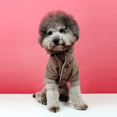 you're a peach 狗狗烤栗子鋪棉外套, 棕色