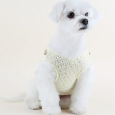 you're a peach 寵物毛球夏季針織T恤, 檸檬黃