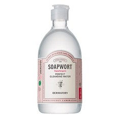 더마토리 하이포알러제닉 퍼펙트 클렌징 워터, 500ml, 1개