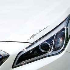 GRIBEN 改裝手寫貼紙 10257 50cm, 1個, 中灰色