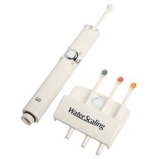 Jeongan International水噴槍口腔清潔器, LB100