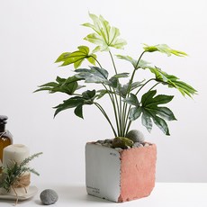 聖誕節金色八爪壺, 混色, 1個