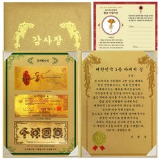 幸運符號母親節感謝金紙幣3件套韓國一等獎父親獎+金康乃馨貼紙, 單品