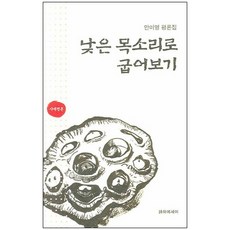 안미영 평론집낮은 목소리로 굽어보기, 시와에세이, 안미영 저