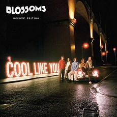 BLOSSOMS - COOL LIKE YOU (DELUXE EDITION/DIGIPACK) EU 수입반, 2CD