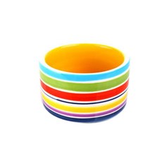 도치퀸 고슴도치용 무지개 세라믹 도자기 식기, 1개