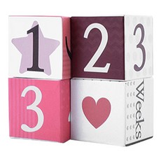 Gabe Family 年齡塊粉紅色, 1套