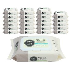 하늘선물 유아 물티슈 캡형, 100매, 24개