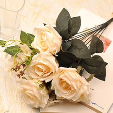 HAPPY WORLD 皇家玫瑰花叢, 奶油混色