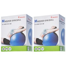 아이워너 다이어트 PVC 마사지 짐볼 2p, 블루