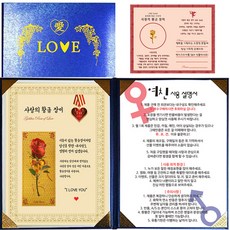 愛情證書, 1套, 女朋友使用說明