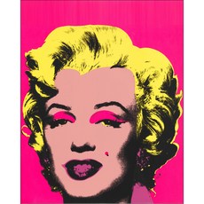 헬로페인팅 DIY 그림그리기 풀세트 팝아트16, 혼합 색상, 1개