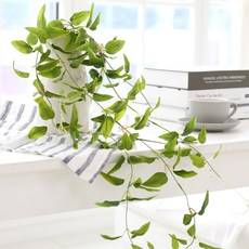 Happy Village 和諧布什Smileax, 混色