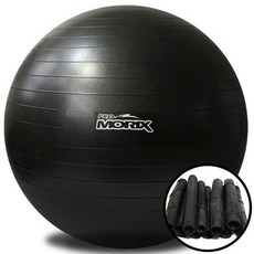 프로모릭스 대나무 참숯 안티버스트 짐볼