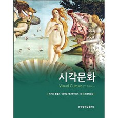 視覺文化, 景星大學出版部, 理查德·霍威爾斯, 華金·內格雷羅斯 著