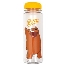 위베어베어스 마이보틀, 그리즐리, 500ml, 1개