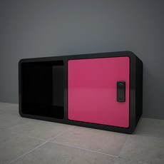 큐빅스 3 컬러스툴사물함 C2-1D, 블랙 + 도어(핑크), 1개