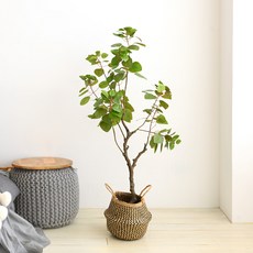 조아트 인조 석류나무 화분 120cm, 혼합 색상, 1개