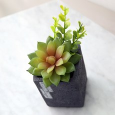 조아트 조화 프리티 다육이 화분, 그린, 1개