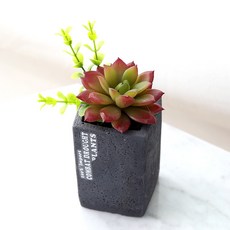 조아트 조화 프리티 다육이 화분, 레드, 1개