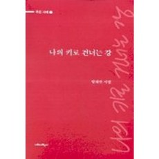 나의 키로 건너는 강, 시와시학사