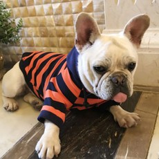 Noland 休閒連帽條紋寵物狗衣服, 橘色