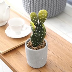조아트 백도선 돌화분 조화 선인장, 혼합 색상, 1개