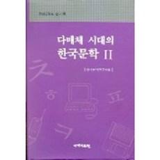 다매체 시대의 한국문학 2, 국학자료원