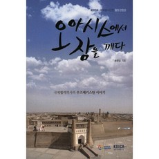 在綠洲中醒來：國際協力醫師的烏茲別克故事, 劇本朋友們, 宋永一 著