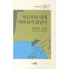 처음부터 내게 허락되지 않았다:김병수 시집, 시학, 김병수 저