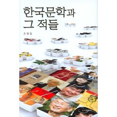 한국문학과 그 적들, b, 조영일 저