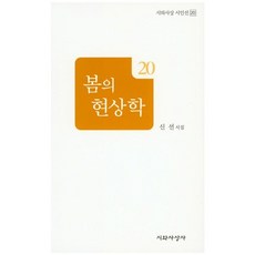 봄의 현상학:신선 시집, 시와사상사, 신선 저