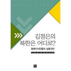 Npplus 金正恩的北韓走向何方：脫北知識分子的實證診斷, 金興光,宋鉉旭,安燦一,李泳勳,蔡慶姬,崔康赫,玄仁愛 共著