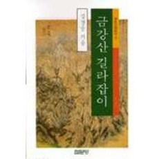 금강산 길라잡이(국토기행총서 3), 집문당