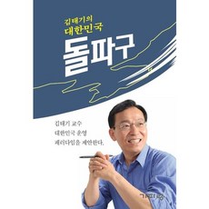 김태기의대한민국 돌파구:김태기 교수 대한민국 운영 패러다임을 제안한다, 기파랑, 김태기 저