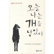 오늘 나는 개를 낳았다, 연극과인간, 홍창수 저
