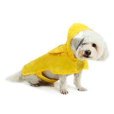 도그레미 펫츠랜드 판쵸형 반려견 레인코트, 옐로우, 1개