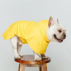 Noland PVC時尚寵物雨衣, 黃色, 1個