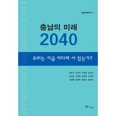 충남의 미래 2040:우리는 지금 어디에 서 있는가?, 그물코, 강현수 등저
