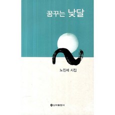 꿈꾸는 낮달:노진세 시집, 신아출판사, 노진세 저