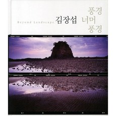 風景之外的風景：金長燮, 文化圖書, 金長燮 著