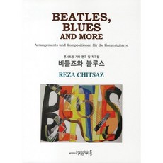 披頭士與藍調:演唱會用吉他編曲及作曲集, 雷扎·奇薩茲·瑞薩, 設計吉他