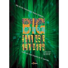 빅데이터 환경하의 ICT데이터 유통체계 진단 및 생태계 조성방안, 진한엠앤비